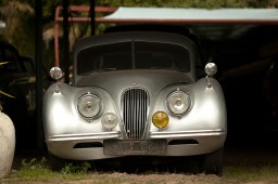 Wijnland Museum Cape Town-31