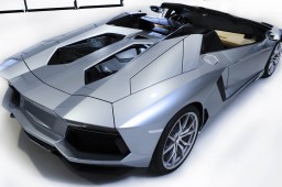 Aventador Roadster-DT4