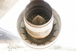 emirates_auto_museum-66