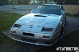 z31