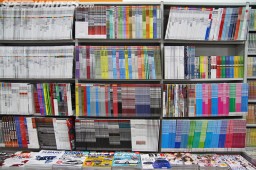 Tokyo-Auto-Salon-2013-07