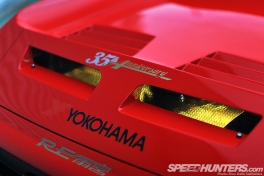 RE-Amemiya-Europa-01