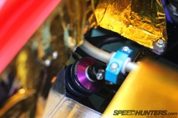 RE-Amemiya-Europa-14