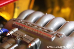 RE-Amemiya-Europa-19