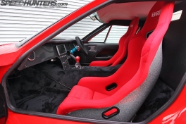 RE-Amemiya-Europa-28