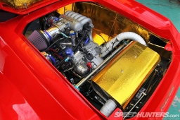 RE-Amemiya-Europa-29