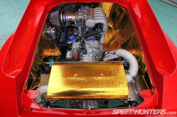 RE-Amemiya-Europa-30