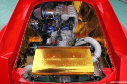 RE-Amemiya 20B Europa #5