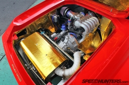 RE-Amemiya-Europa-31