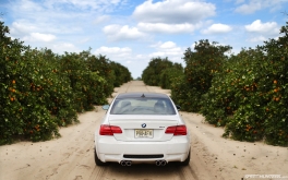 Photo by Larry Chen  1920x1200