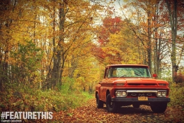 FeatureThis_American_01