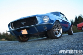 FeatureThis_American_05