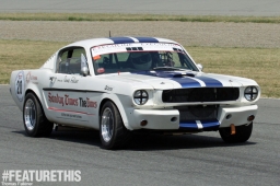 FeatureThis_American_13