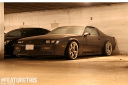 FeatureThis_American_14