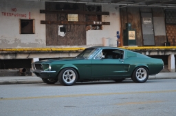 FeatureThis_American_16