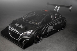 Peugeot_208_Pikes_Peak-DT2