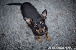 Bryn Musselwhite Road Trip 2013 (23 of 55)