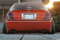 Bee Dragon Majesta #4