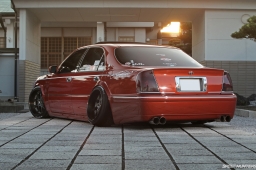 Bee Dragon Majesta #5