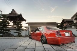 Bee Dragon Majesta #6