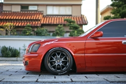 Bee Dragon Majesta #7