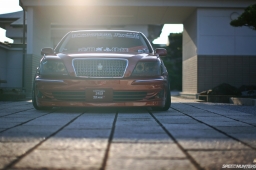 Bee Dragon Majesta #9