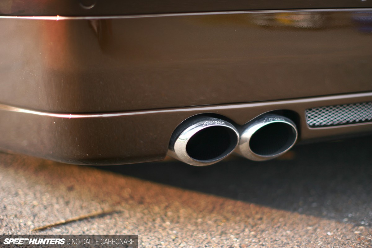 Bee-Dragon-Majesta-11