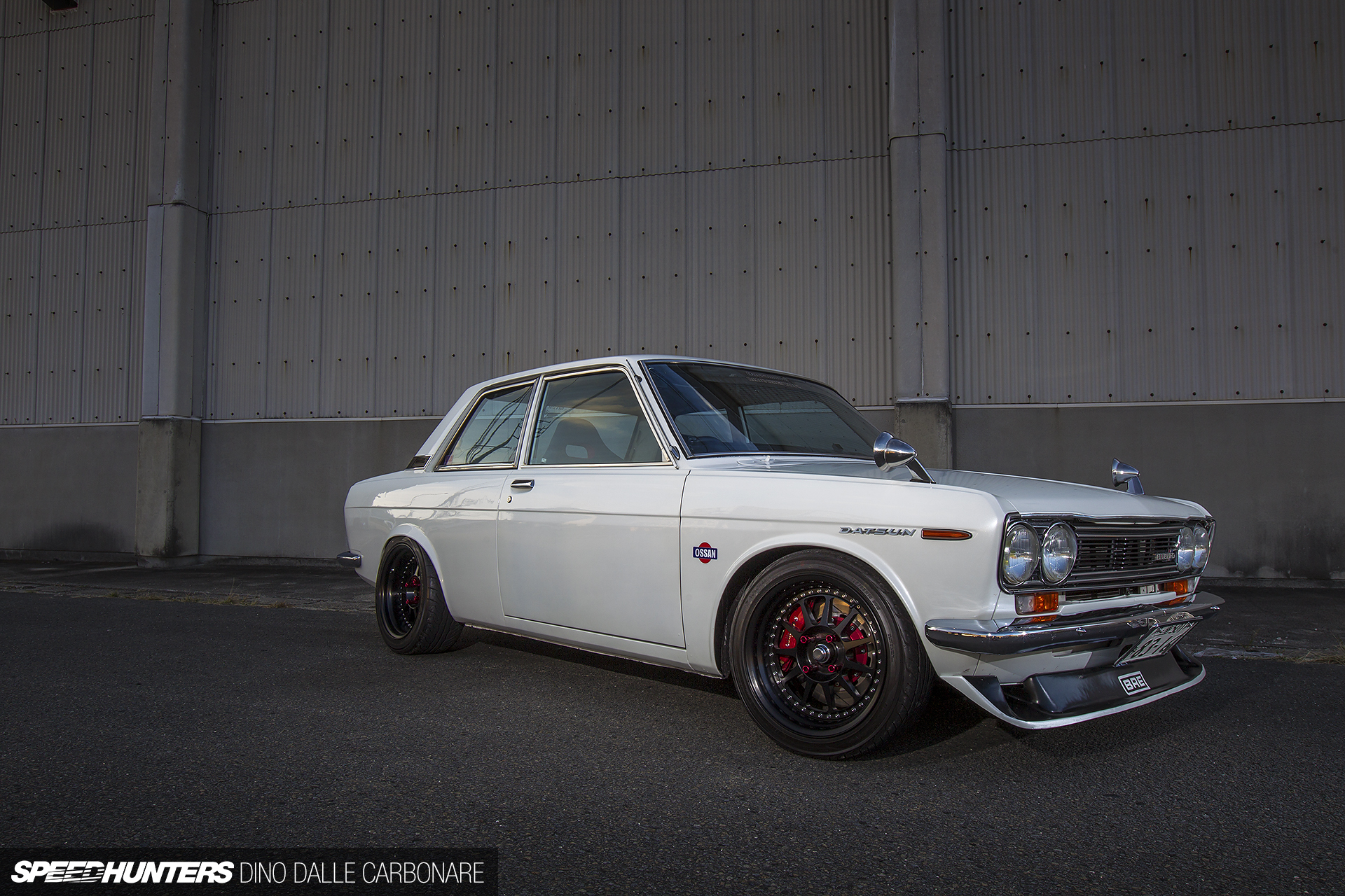 Common-Snapper-510-02