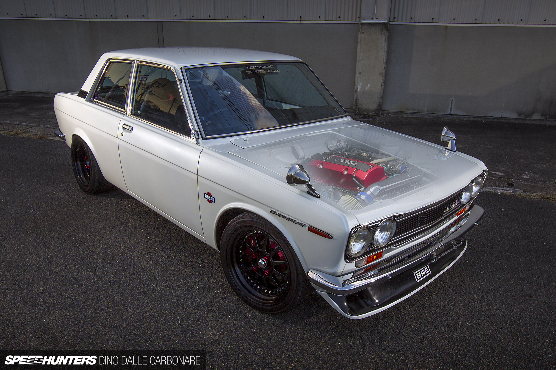 Common-Snapper-510-03