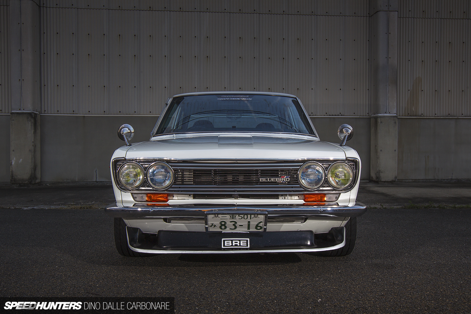 Common-Snapper-510-06