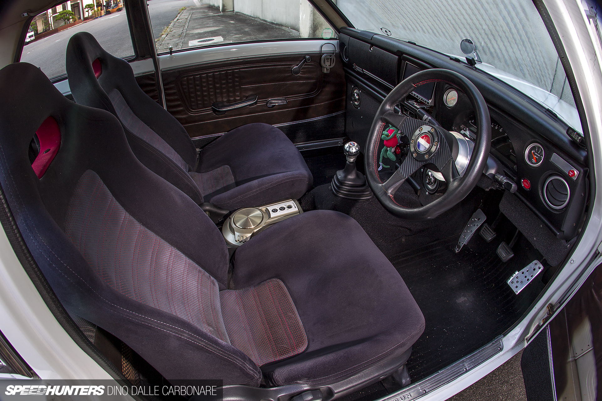 Common-Snapper-510-09