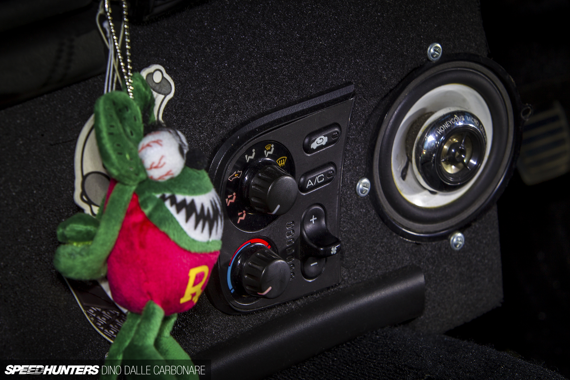 Common-Snapper-510-10