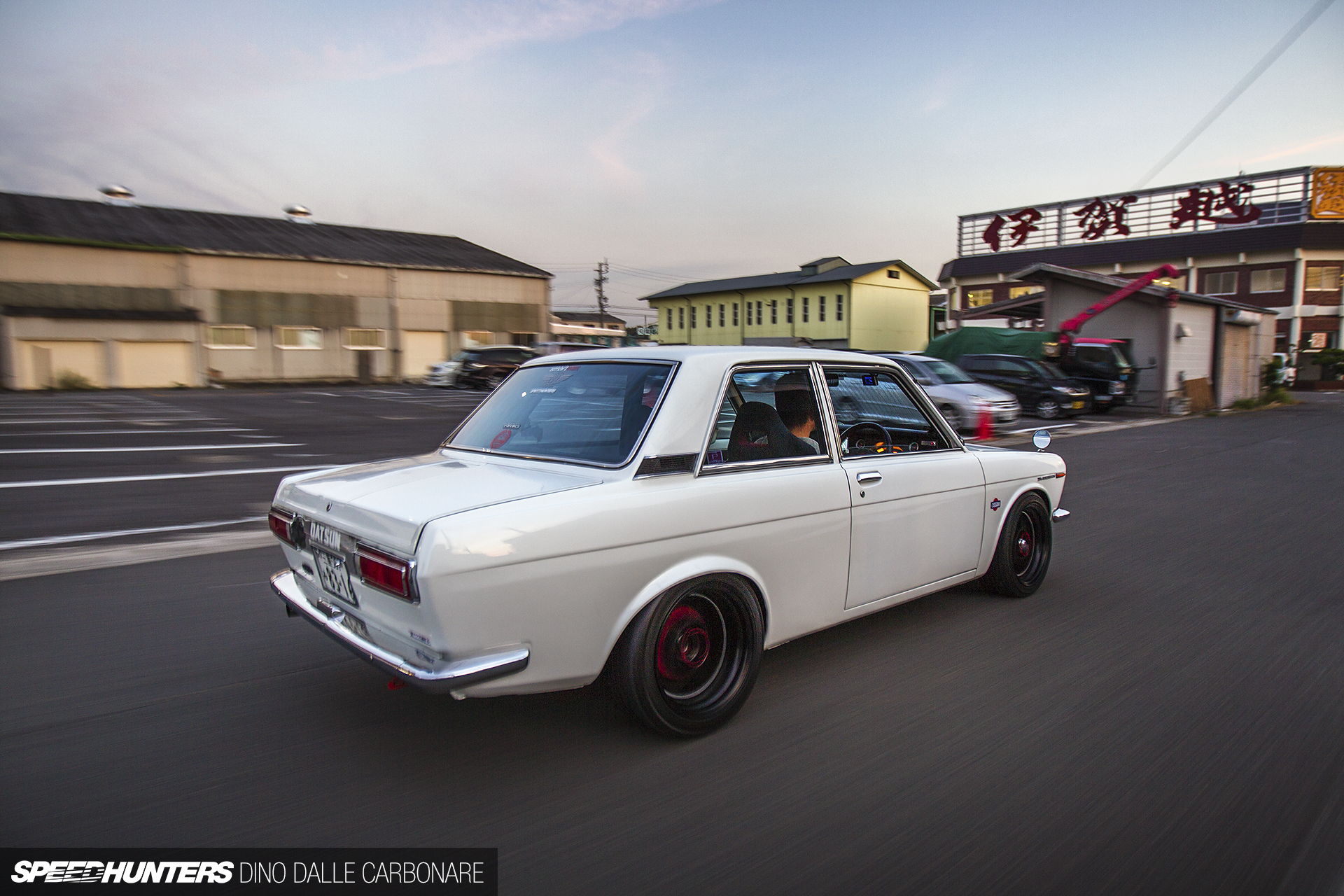 Common-Snapper-510-12