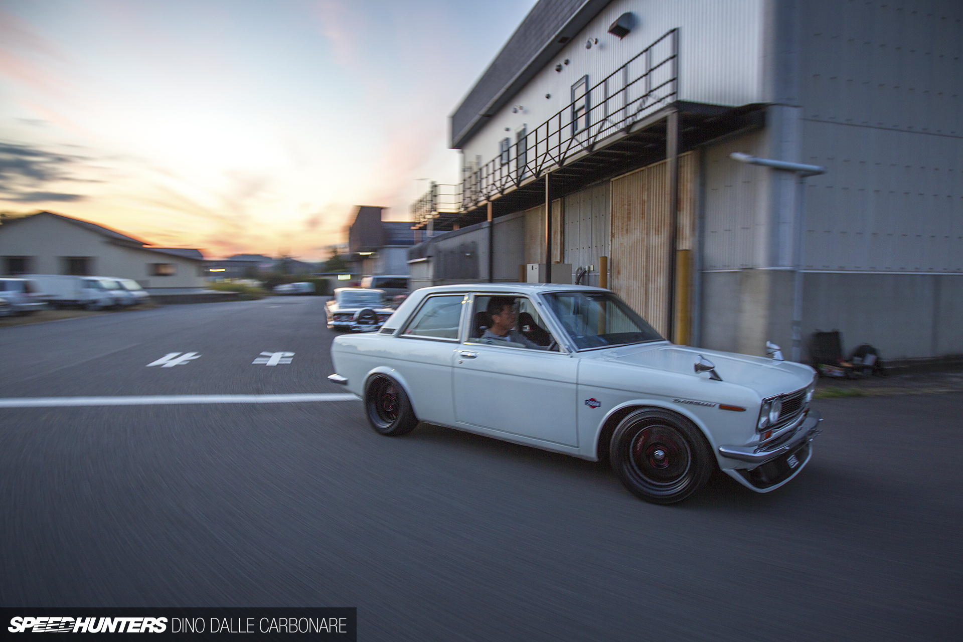 Common-Snapper-510-13