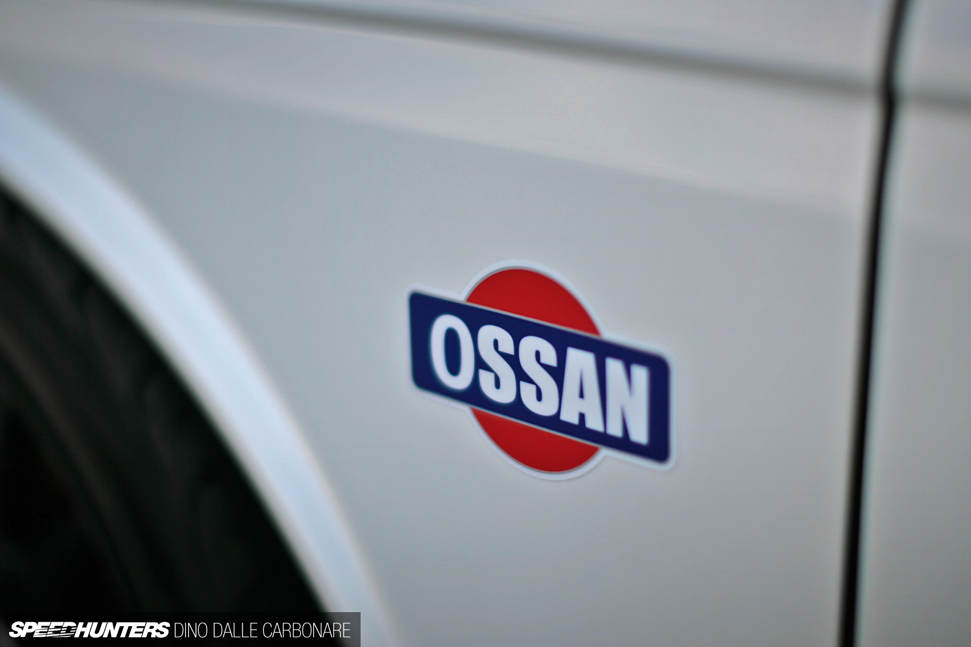 Common-Snapper-510-16