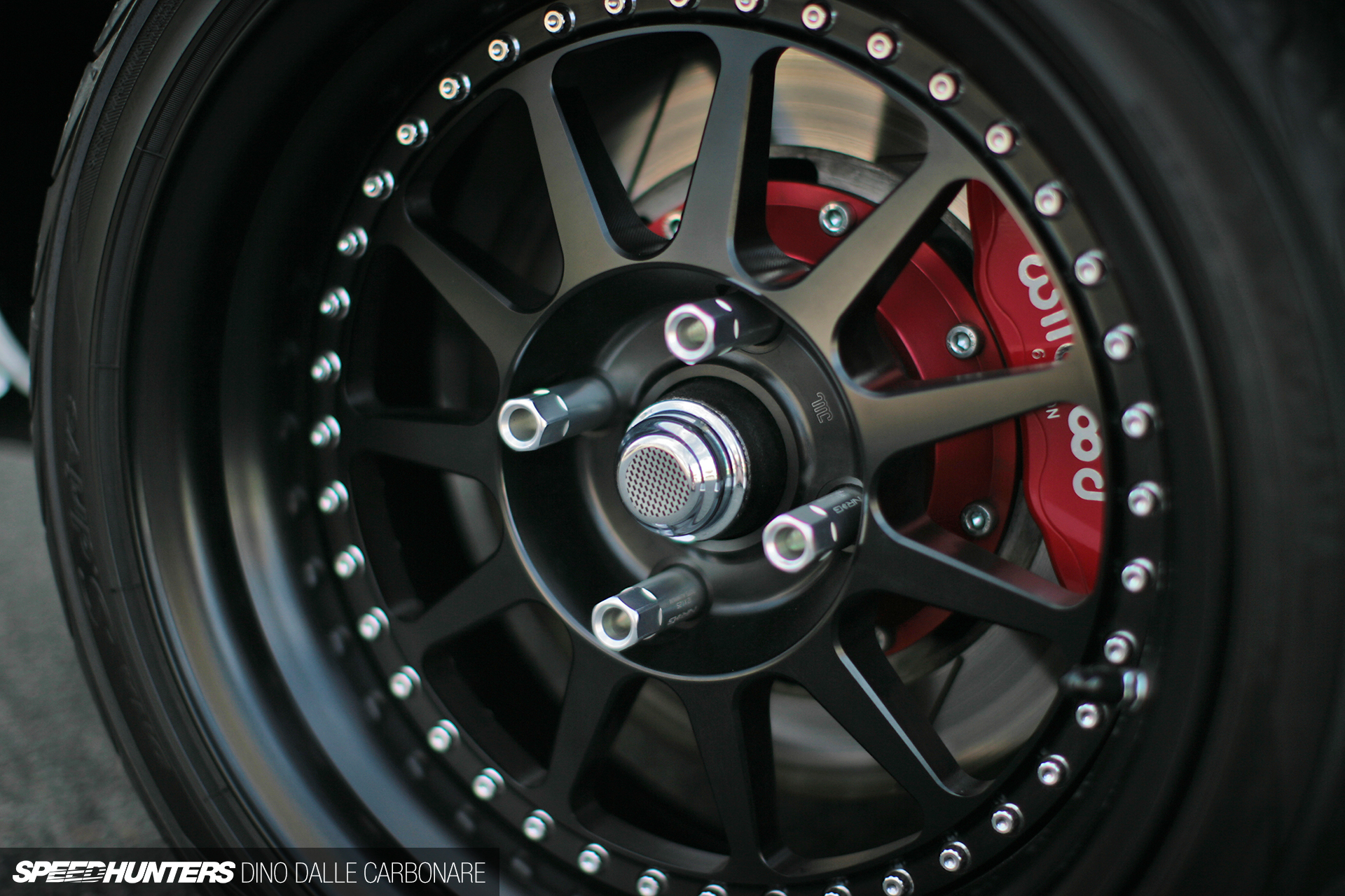 Common-Snapper-510-17