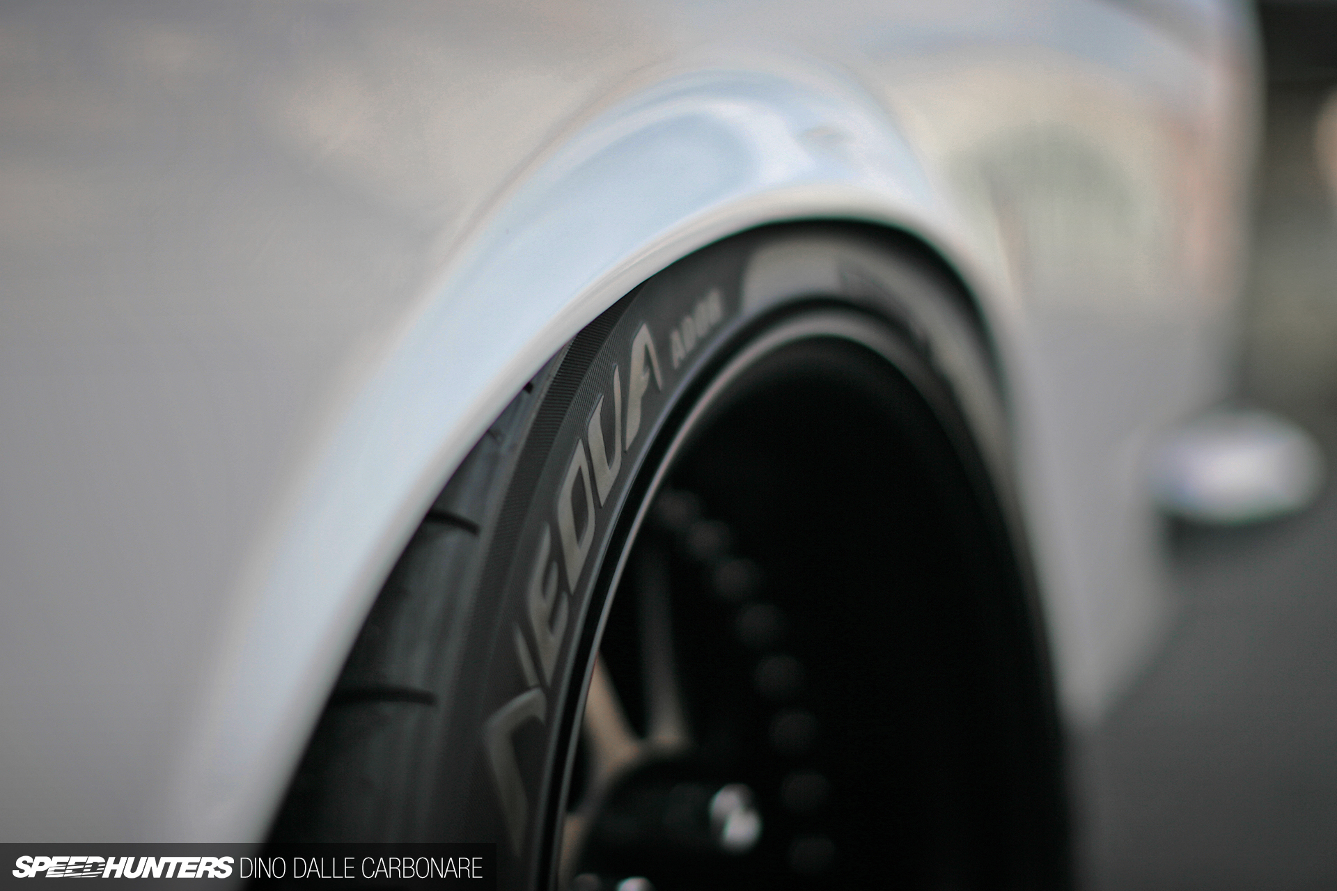 Common-Snapper-510-18