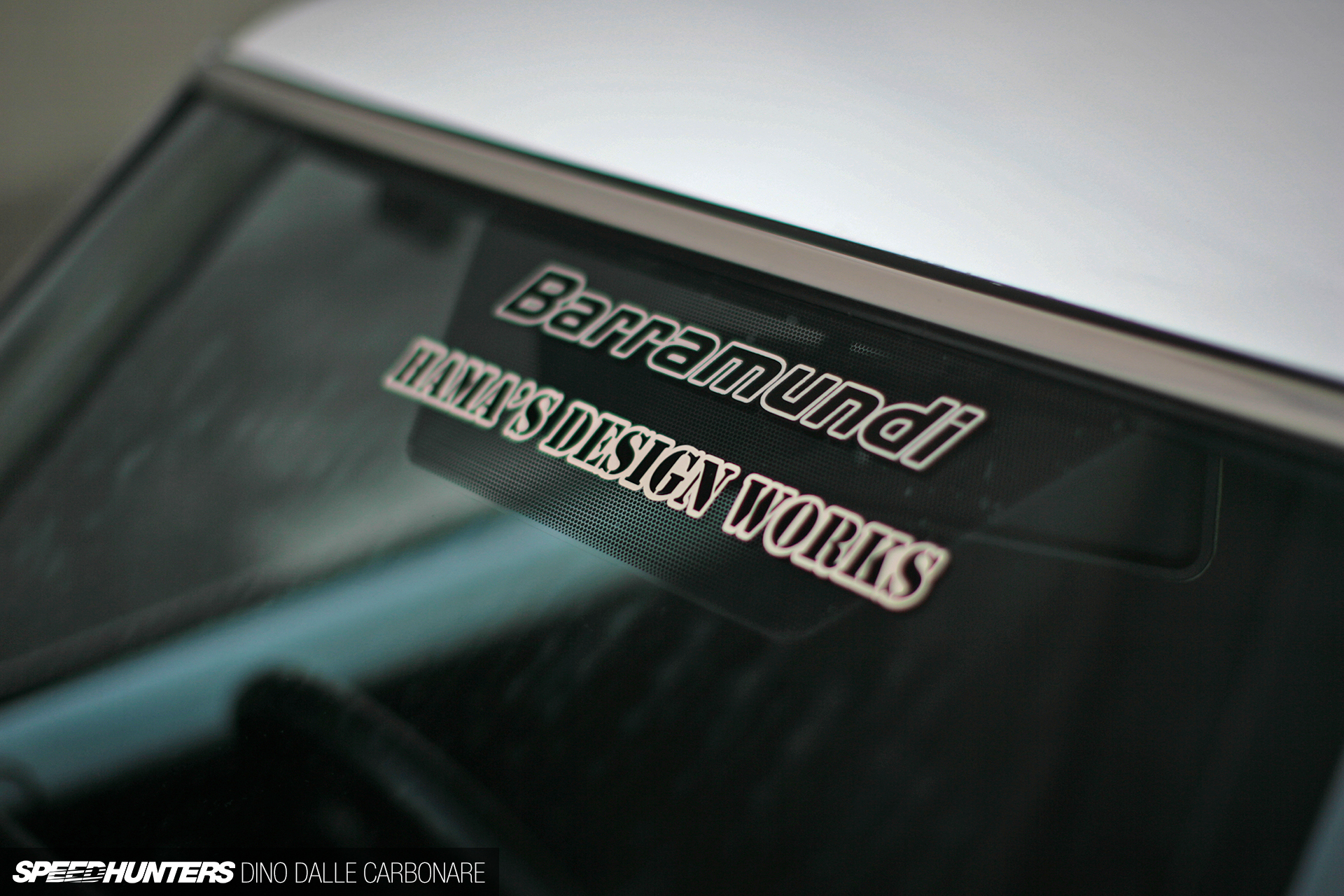 Common-Snapper-510-19