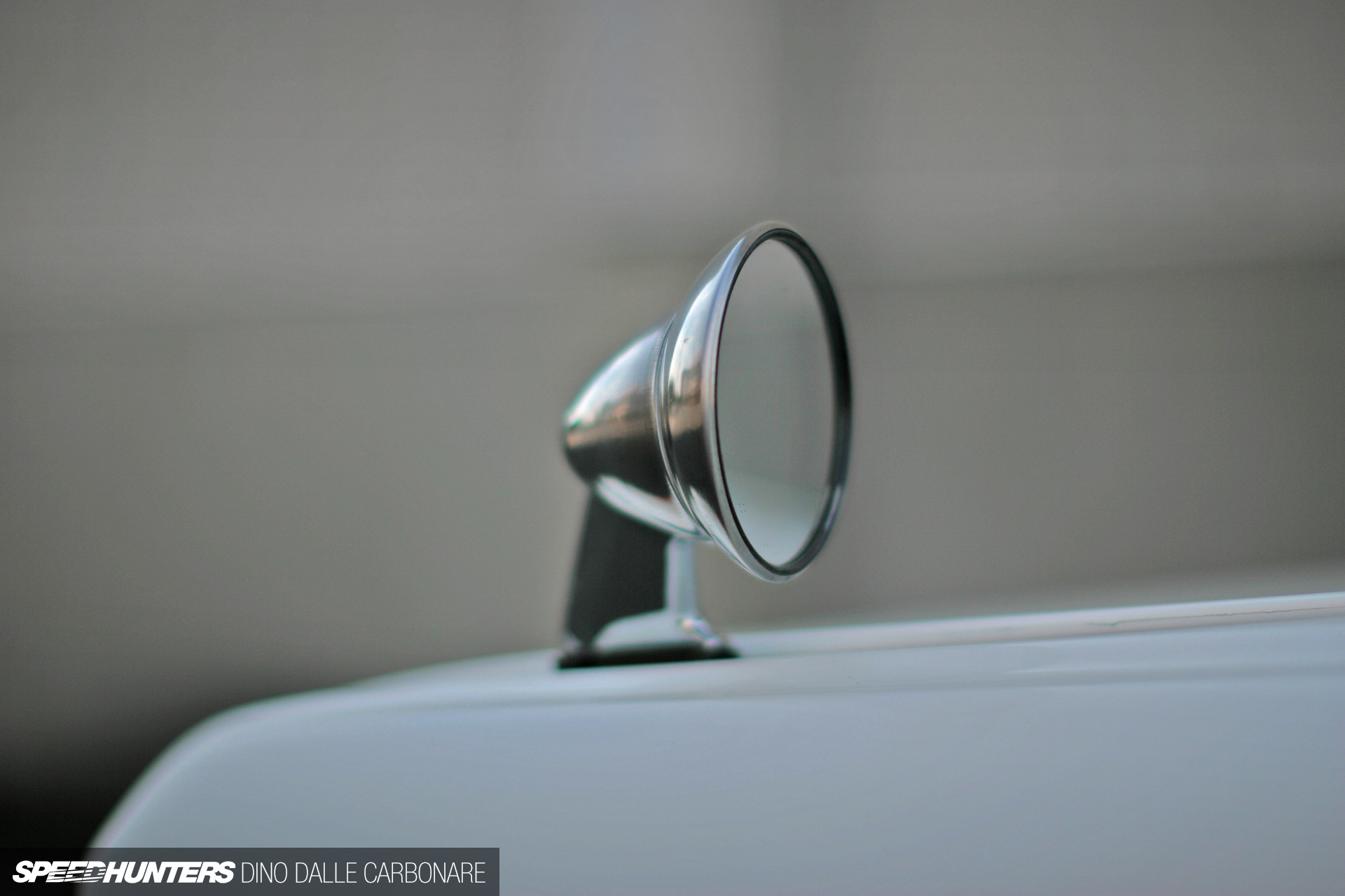 Common-Snapper-510-20