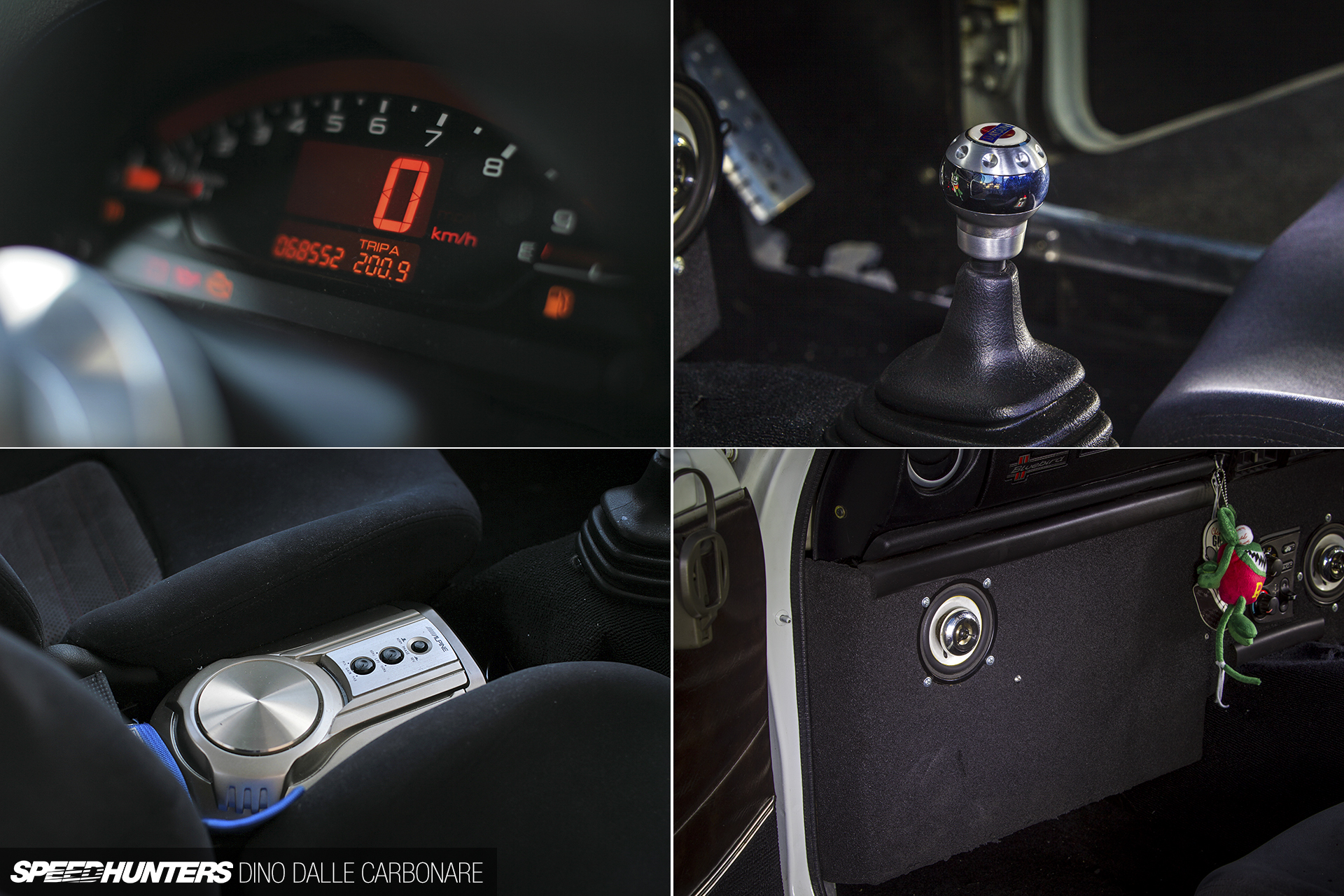 Common-Snapper-510-23