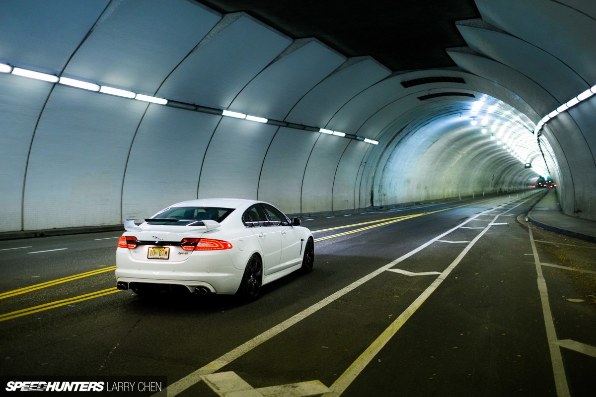 A Big Cat Loose On The Streets Of LA