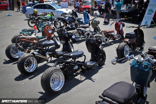 Blox-Evolution-120&nbsp;copy