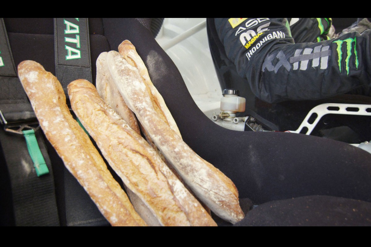 A Wild Horse In France… With Baguettes