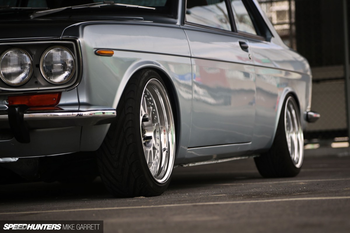 Common-Snapper-510-F20-19 copy