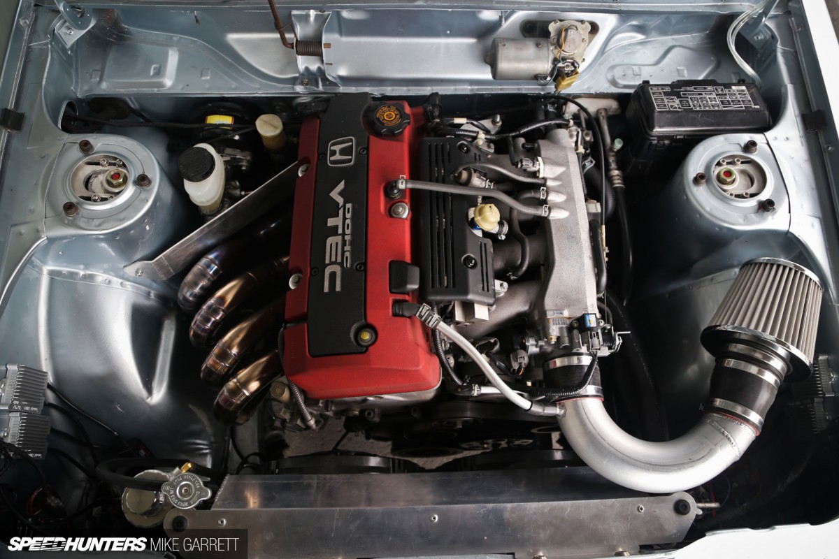 Common-Snapper-510-F20-24 copy