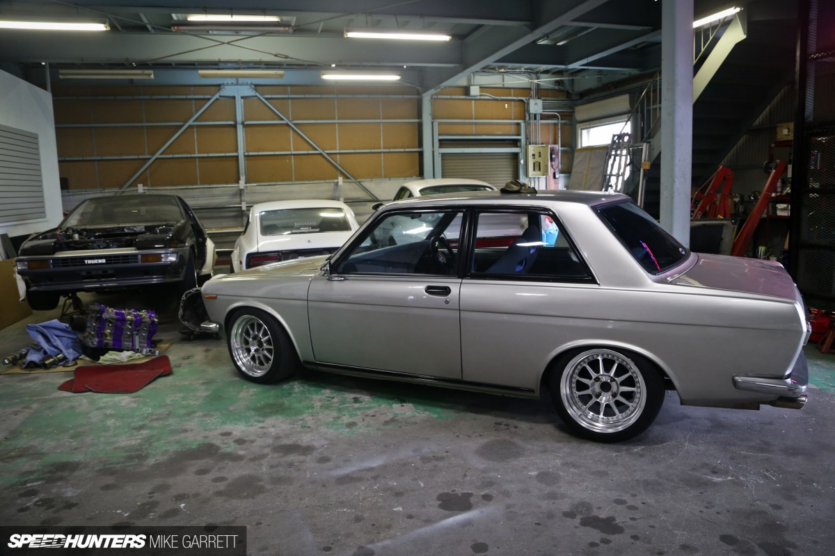 Common-Snapper-510-F20-30 copy