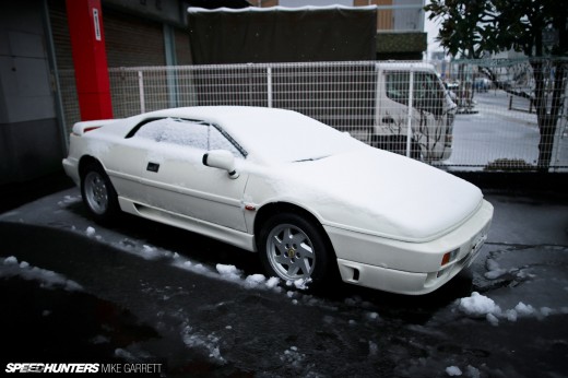 K-Selection-30 copy