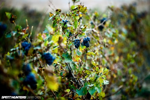 larry_chen_speedhunters_WRC_Spain_TML-28