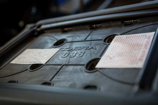 Cobra seats UK (19 of 51)