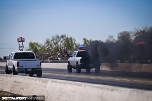 NHRDA-Famoso-38&nbsp;copy